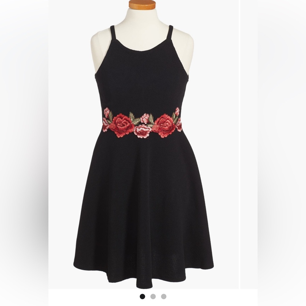 Soprano embroided skater dress